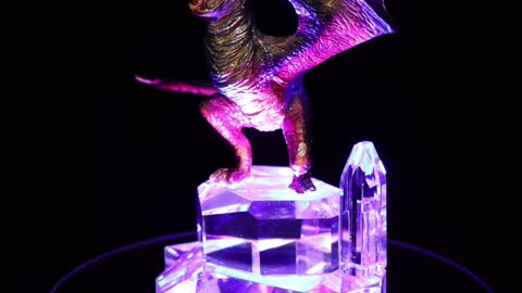 Fun Facts On The Swedish Short- Snout Dragon! #harrypotter #harrypottercollection #dragon
