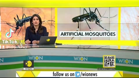 האם ביל גייטס מתכנן לנו את המגיפה הבאה מיתושים