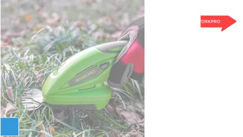 Best 5 Hedge Trimmers