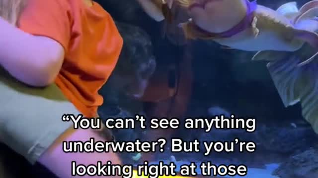 "You can't see anything underwater? But you're looking right at those people!”