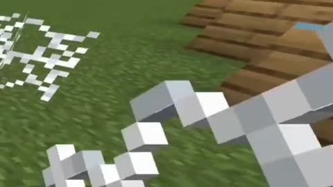 Minecraft ....