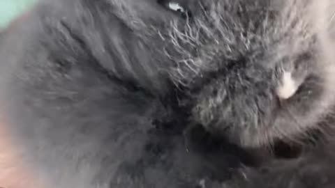 Just what the dr ordered 🤷🏼‍♂️