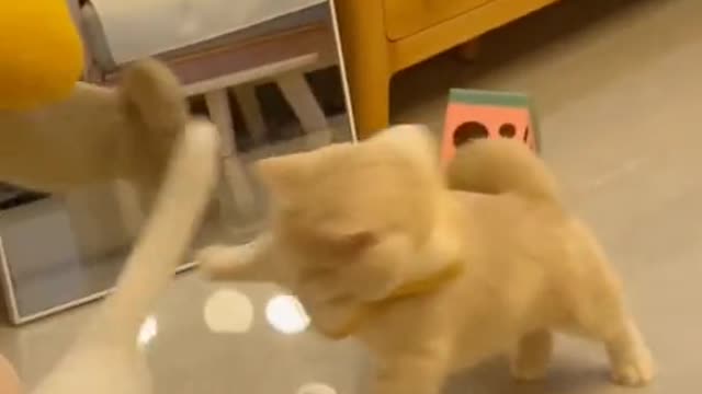 Power of missing🥰😍