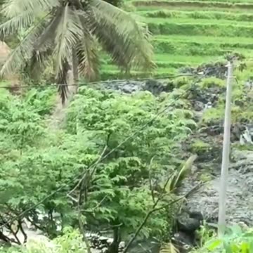 Erdrutsch Indonesien Reisfelder