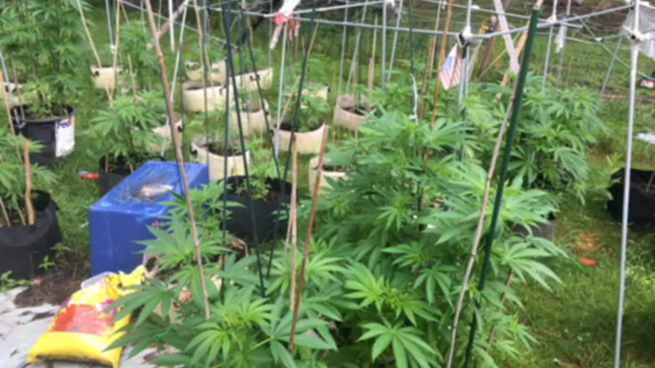 Russian coup and an abortion fetish final part