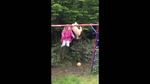 Funny animals - Funny cats / dogs - Funny animal videos 2023
