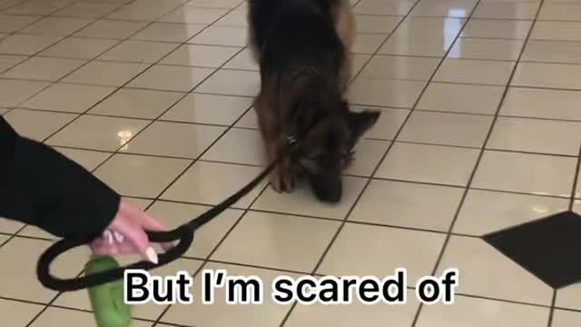Those floors do be slick