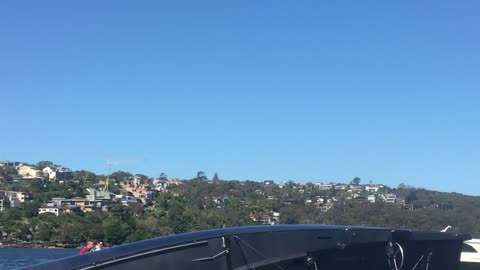 Sailing boats seem to go faster with their sails above water