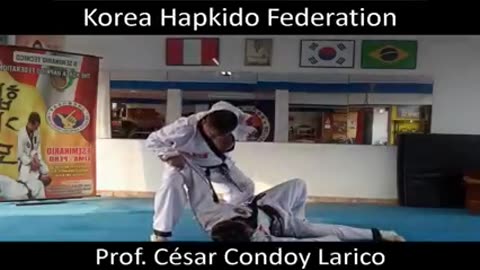 Hapkido