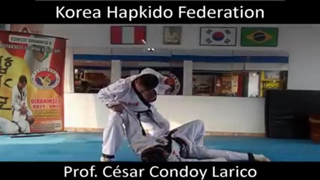 Hapkido