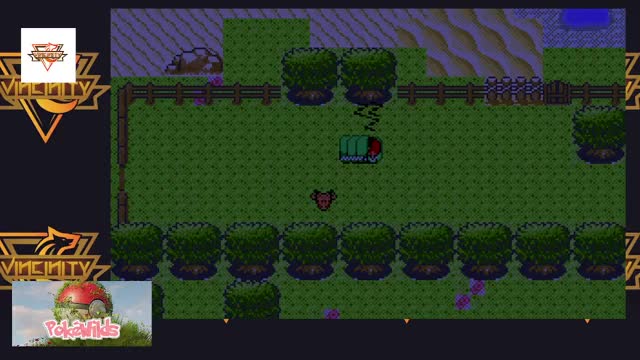 Pokewilds