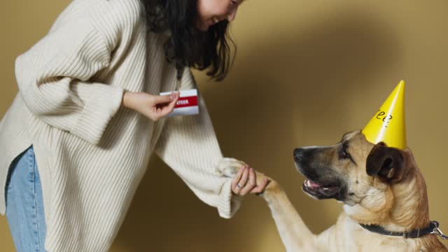 Celebration of dogs birthday party and trained for security in fun way