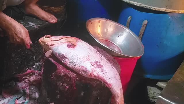 Red snapper fish cutting Skills By An Expert Butcher, Impressive Fish Cutting Techniques