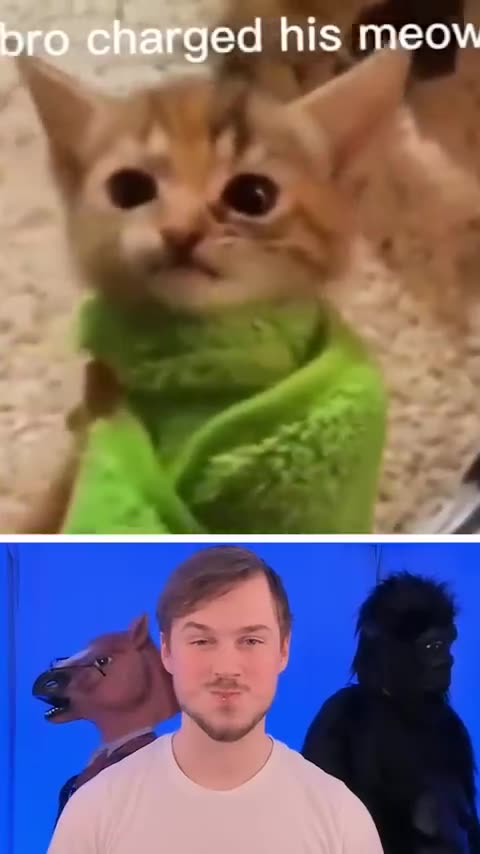 Funny Animal Videos 5