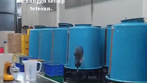 arakbalimendunia