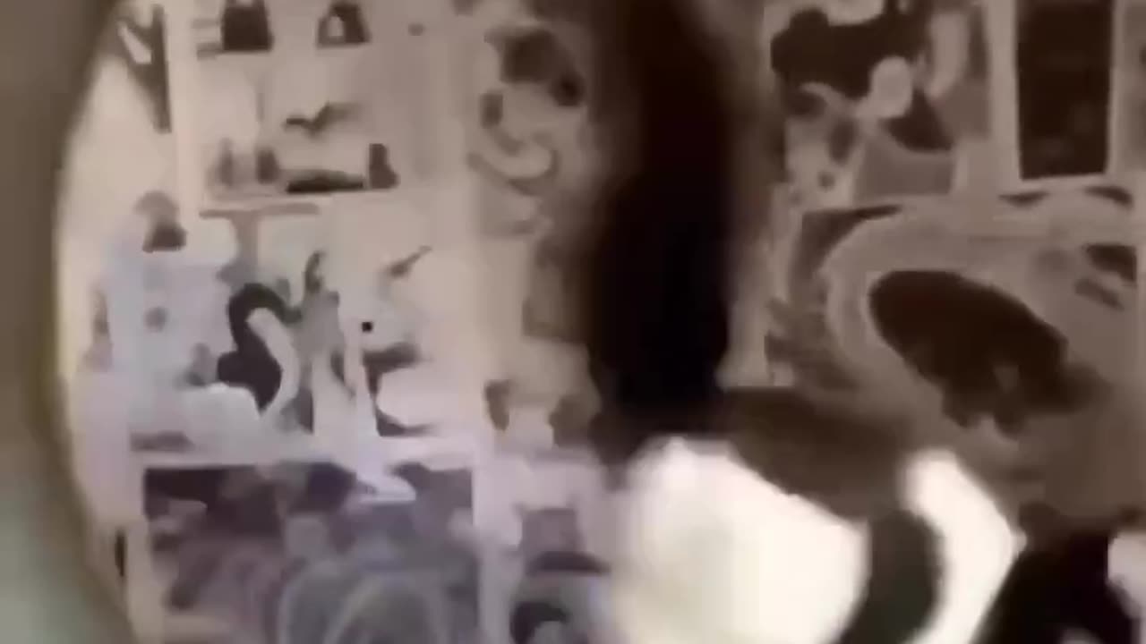 Playing cat
