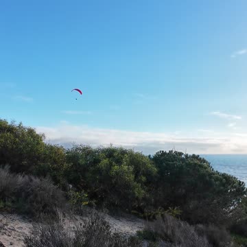 Caminhada Pela MATA NACIONAL DOS MEDOS 3TH MARCH 2K24 PART 11