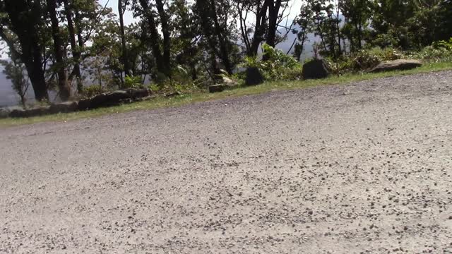More Scooterin