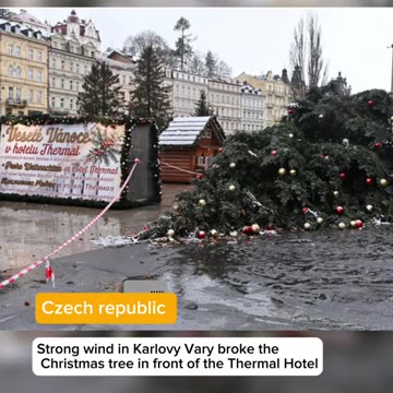 Why Are Christmas Trees Falls All Around The World?
