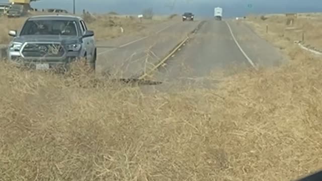 Trying to Drive Through Tumbleweed Covered Roads