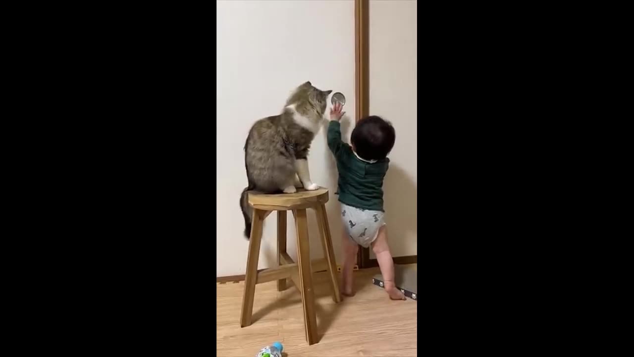 You Won’t Believe What This Cat Did For The Baby!