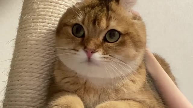 심장이….😖 my heart is melting