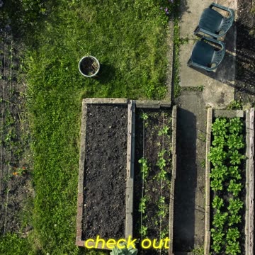 Own the Means of Self-Sufficiency – Vacant Land Ownership to build for your future - Ancestry Lands