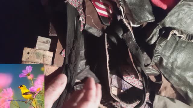 making hernia support belt