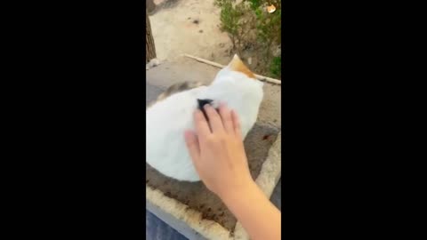 Instant Regret - Fails Compilation - Funny Fails