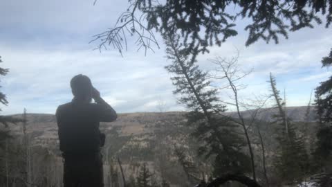 General Season Elk Muzzleloader 2021