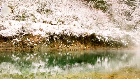 Nature Sounds - A Small Babbling Brook