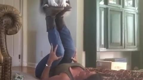 Dog Sits on Owner's Feet While She Does Yoga Pose