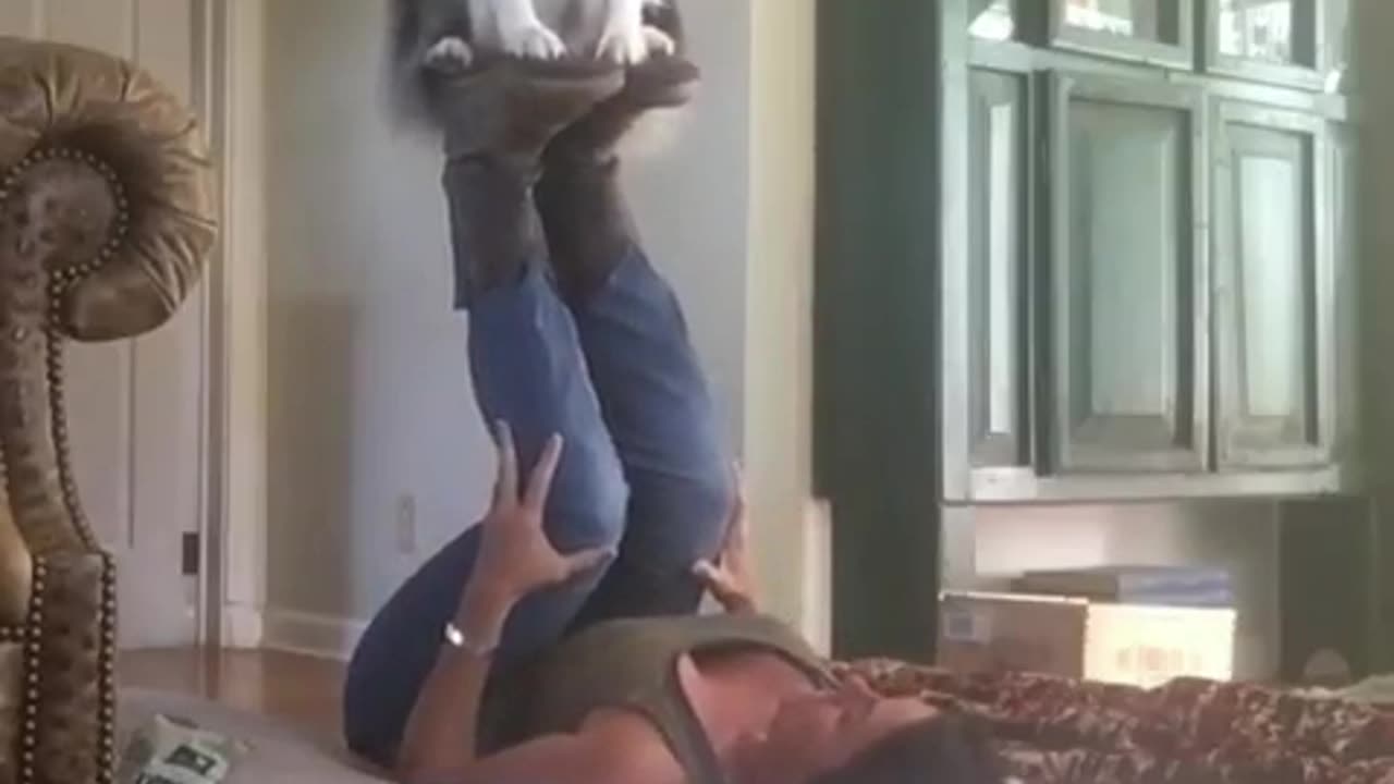 Dog Sits on Owner's Feet While She Does Yoga Pose