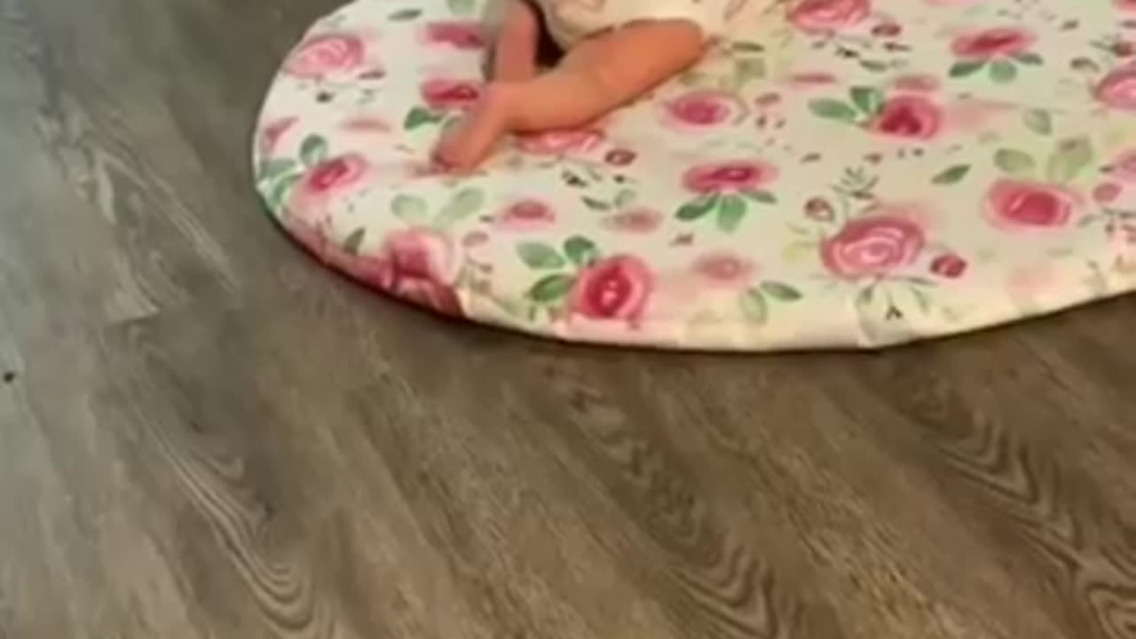 Cat video