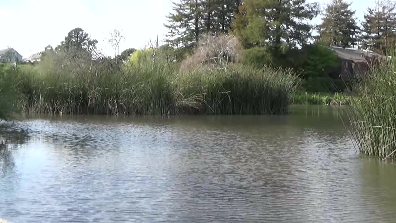 Santa Cruz, CA — Neary Lagoon Park #1