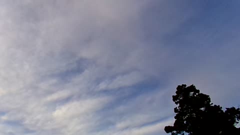 Chemtrails 20 minutes later 11/20/23: