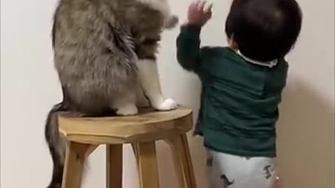 Cat & baby# trendingvideo # viral#