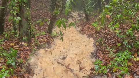 Hiking during heavy rain