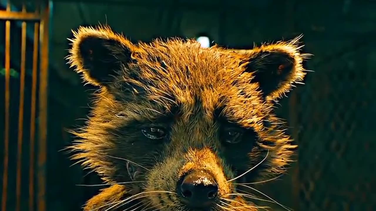 Star Wars Rocket very emotional seen