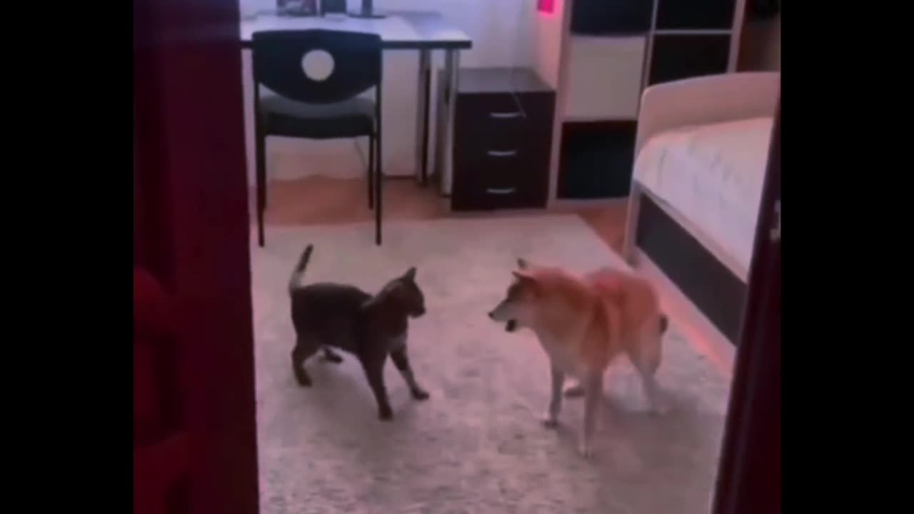 Funny video shots 🤣 😂 . Like and follow 👍 💓 💗 ✨