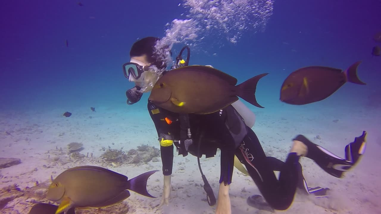 Diving at Pulau Iboeh