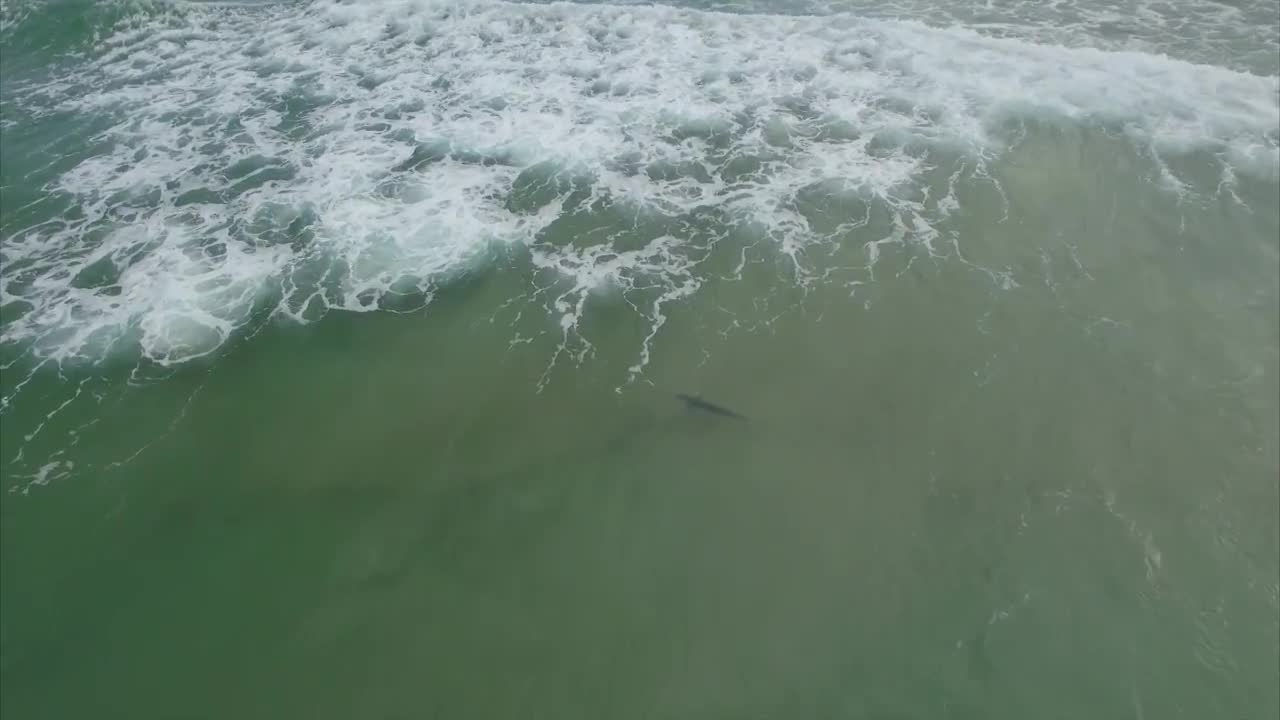 Drone Fishing For Tuna