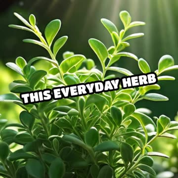 Ancient Secrets Unlocked: 1 Wildly Unexpected Benefit of Thyme