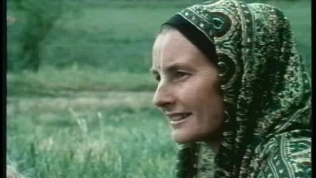 Credo - New Zealand - Vicky Overton Famous Model