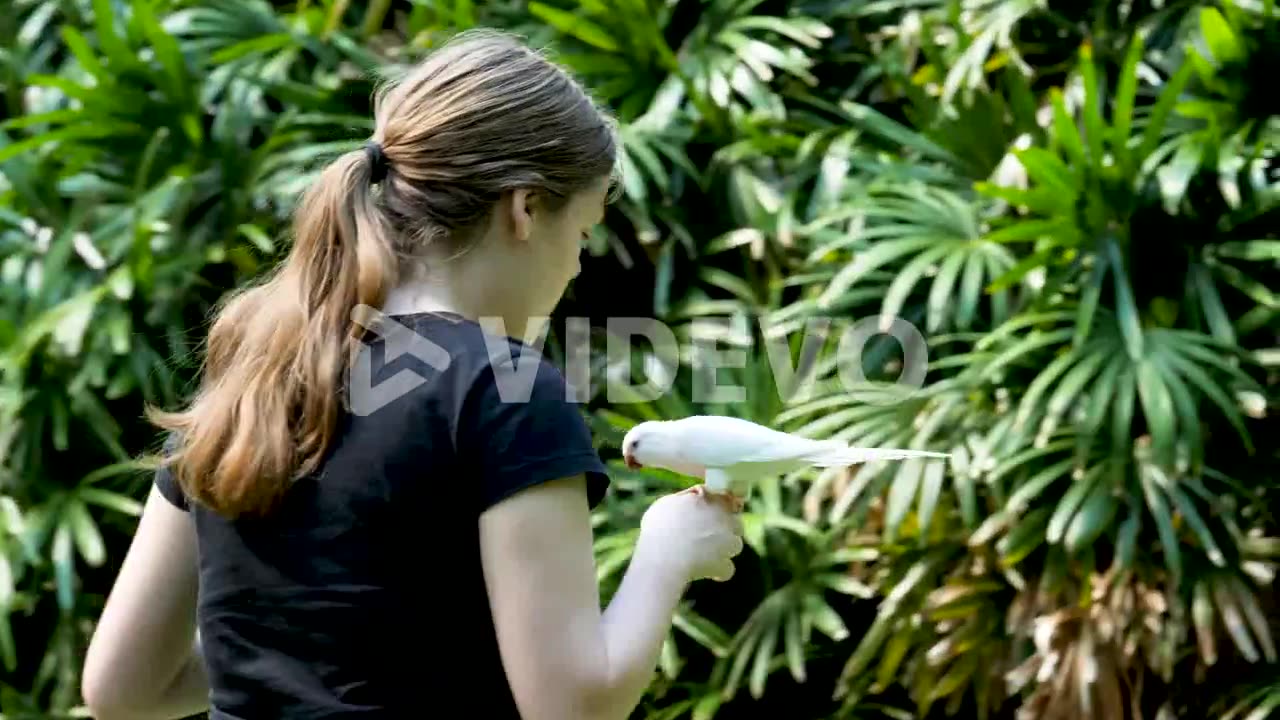 Girls are playing with parrot