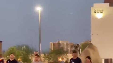 🐪Vegas Camels🐫