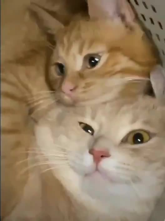 So that’s where secret rendezvous take place eh?