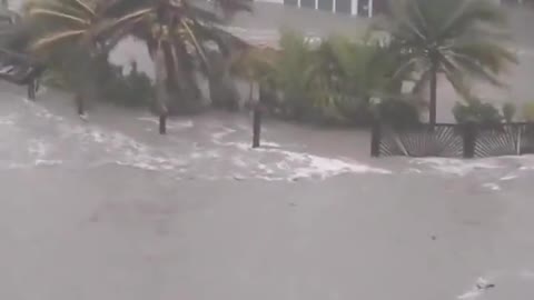 Hurricane in FLORIDA