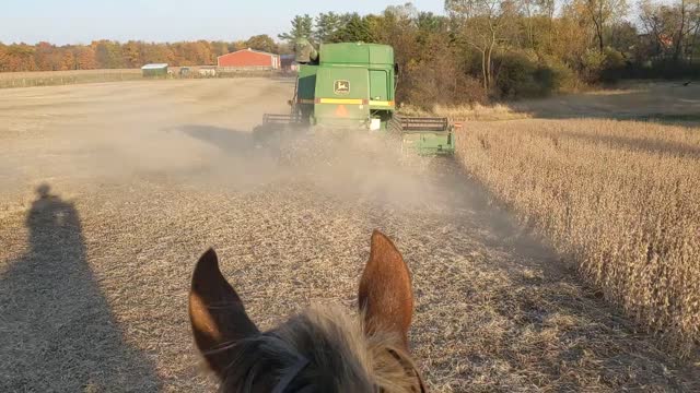 Following a combine to help a horse give away its fear 22 Oct 2022