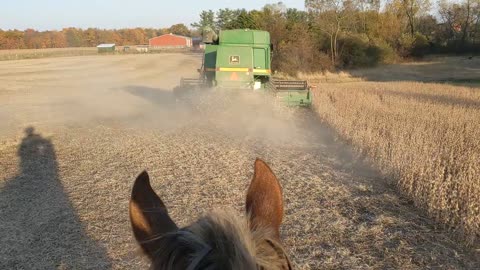 Following a combine to help a horse give away its fear 22 Oct 2022